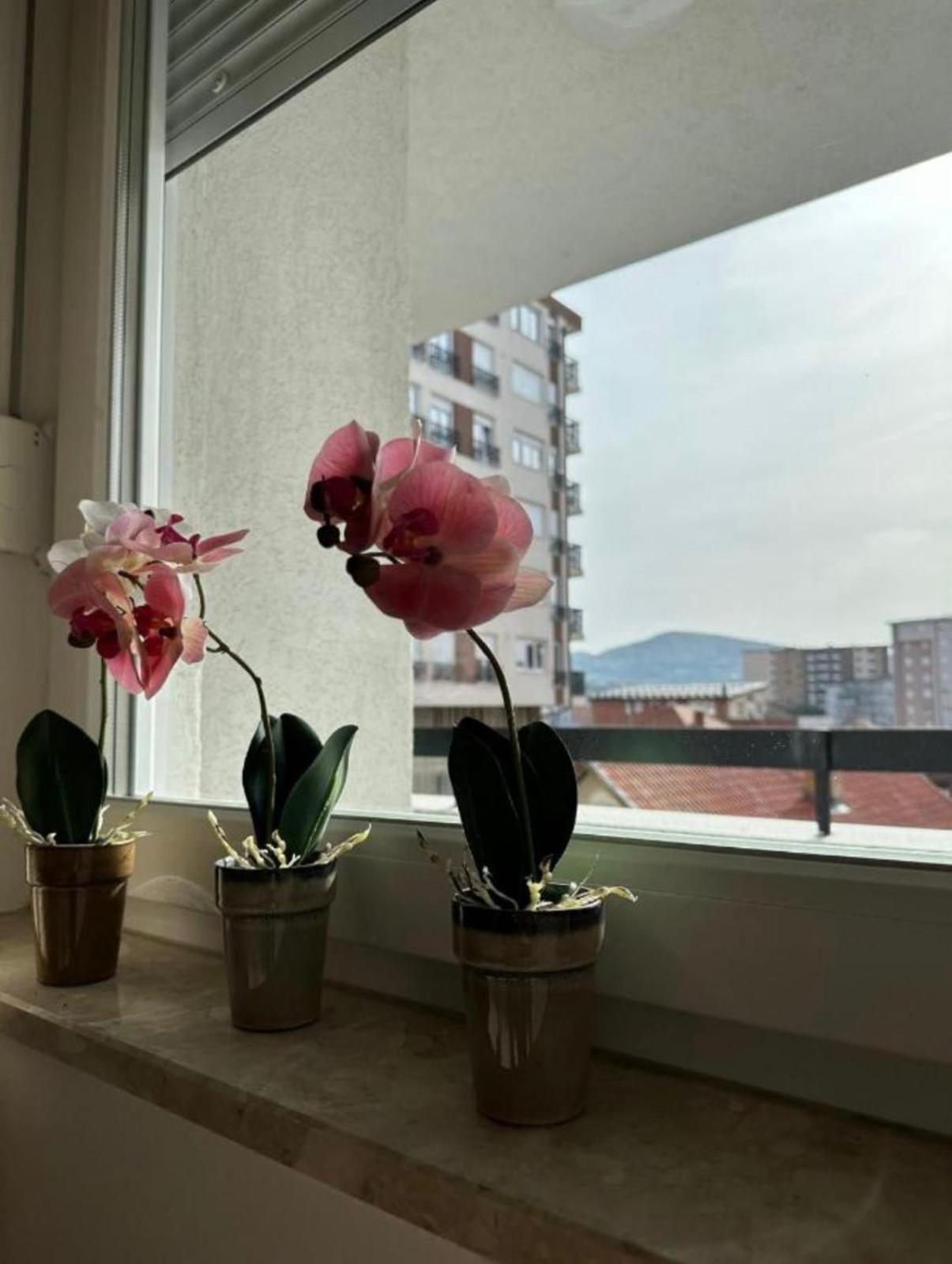 Apartmani Imperial Novi Pazar Esterno foto